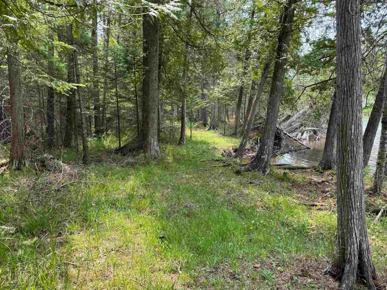 Tbd Banwell Road Alanson MI 49706
