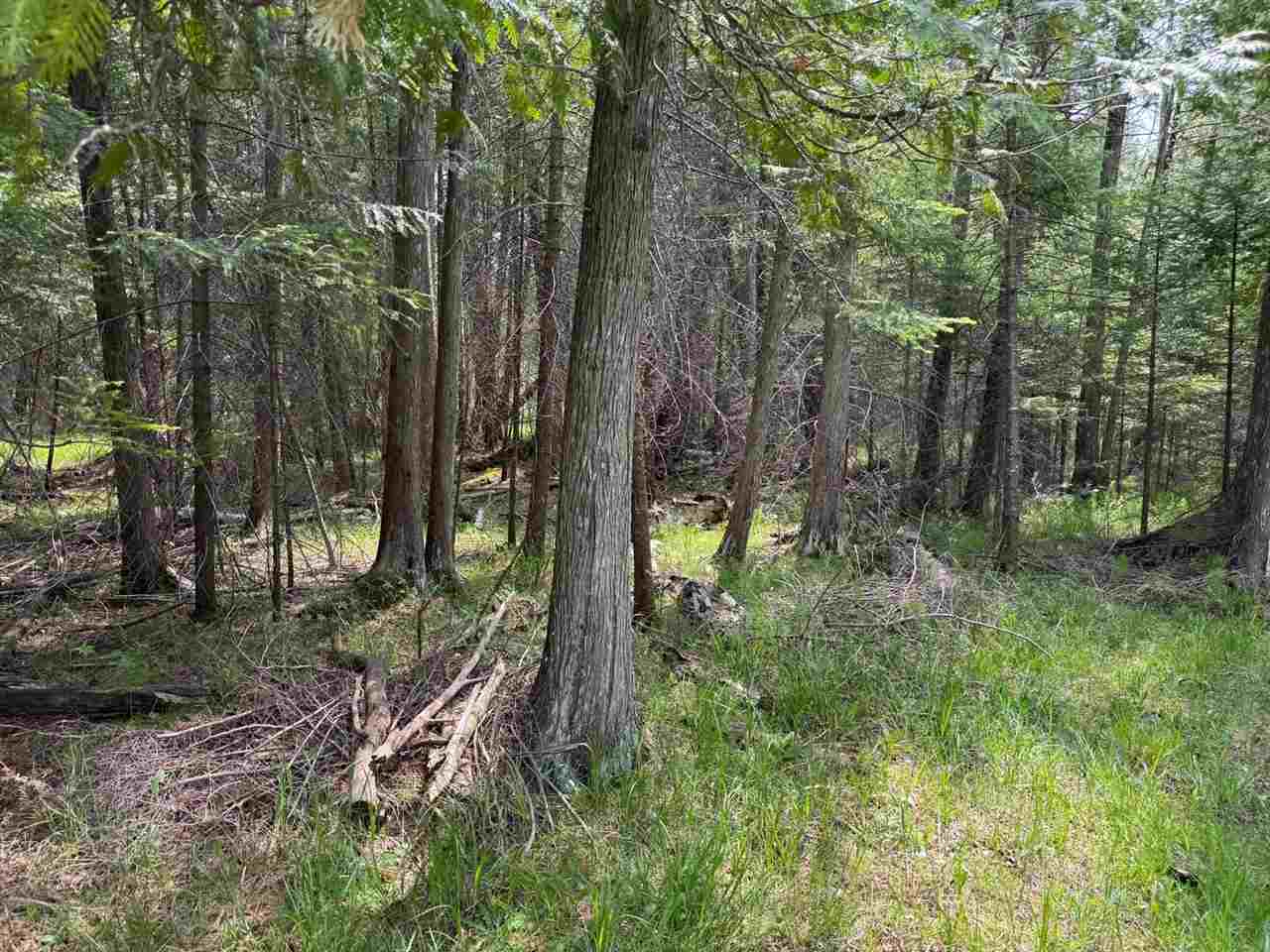 Tbd Banwell Road Alanson MI 49706