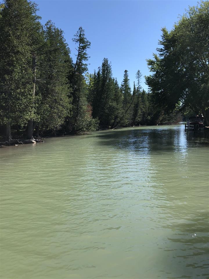 Tbd Banwell Road Alanson MI 49706