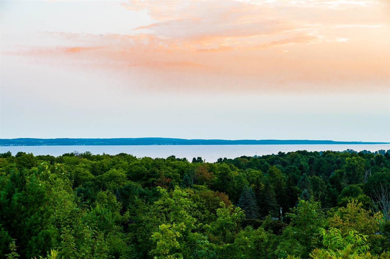 8167 East Ridge Road Harbor Springs MI 49740