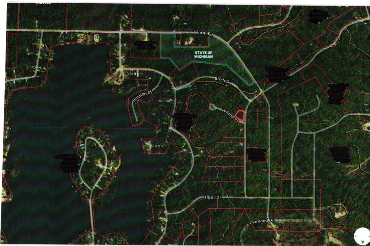 15286 Maple Glen Drive Wolverine MI 49799