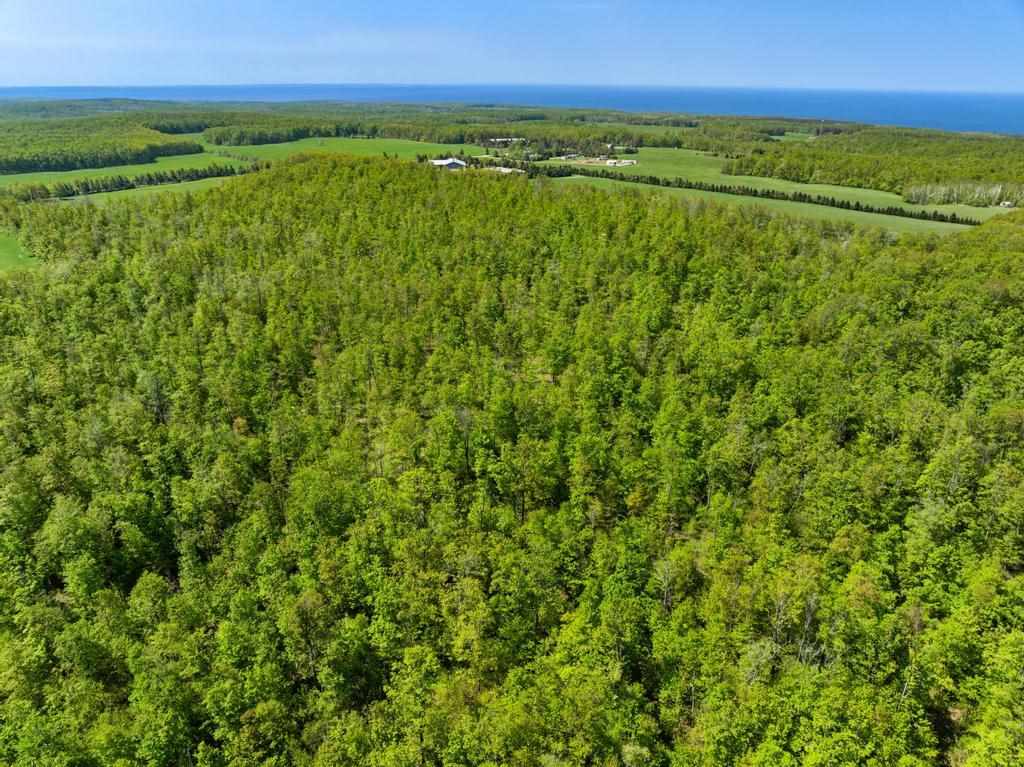 Tbd W Robinson Road Harbor Springs MI 49740