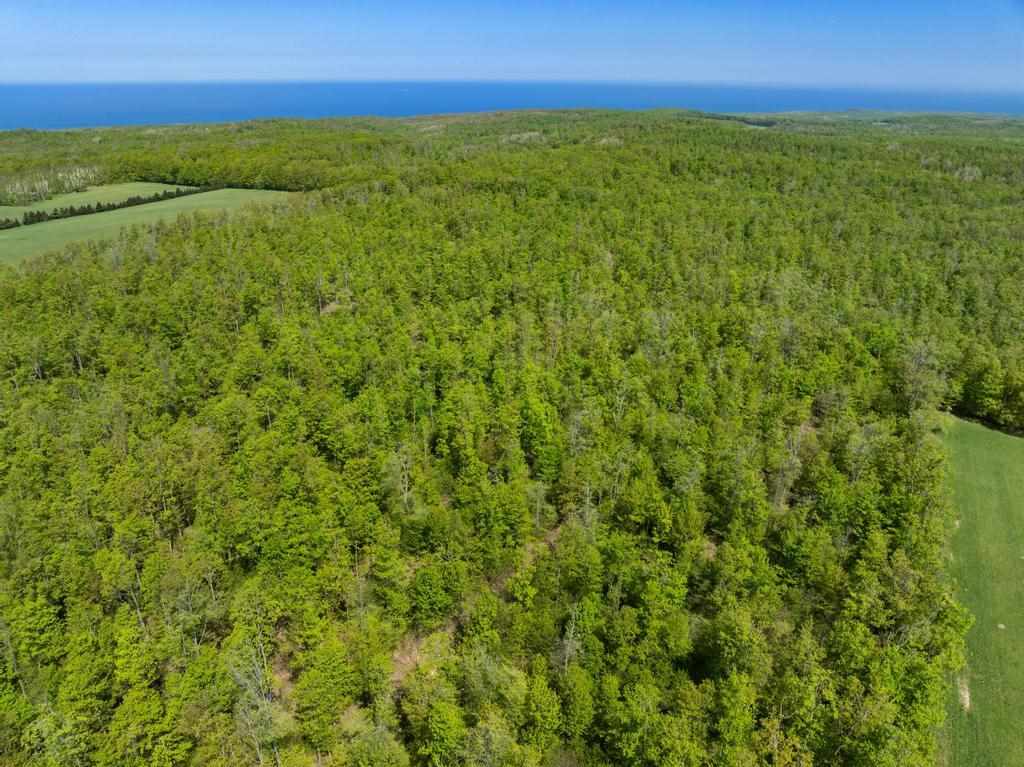 Tbd W Robinson Road Harbor Springs MI 49740