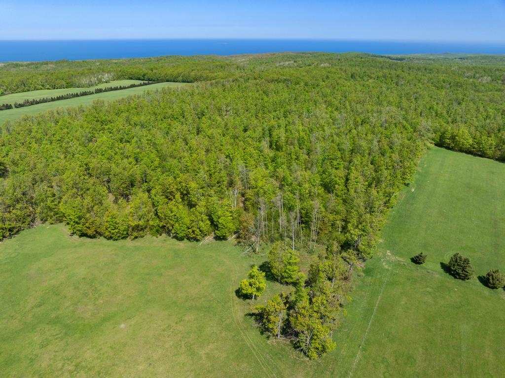 Tbd W Robinson Road Harbor Springs MI 49740