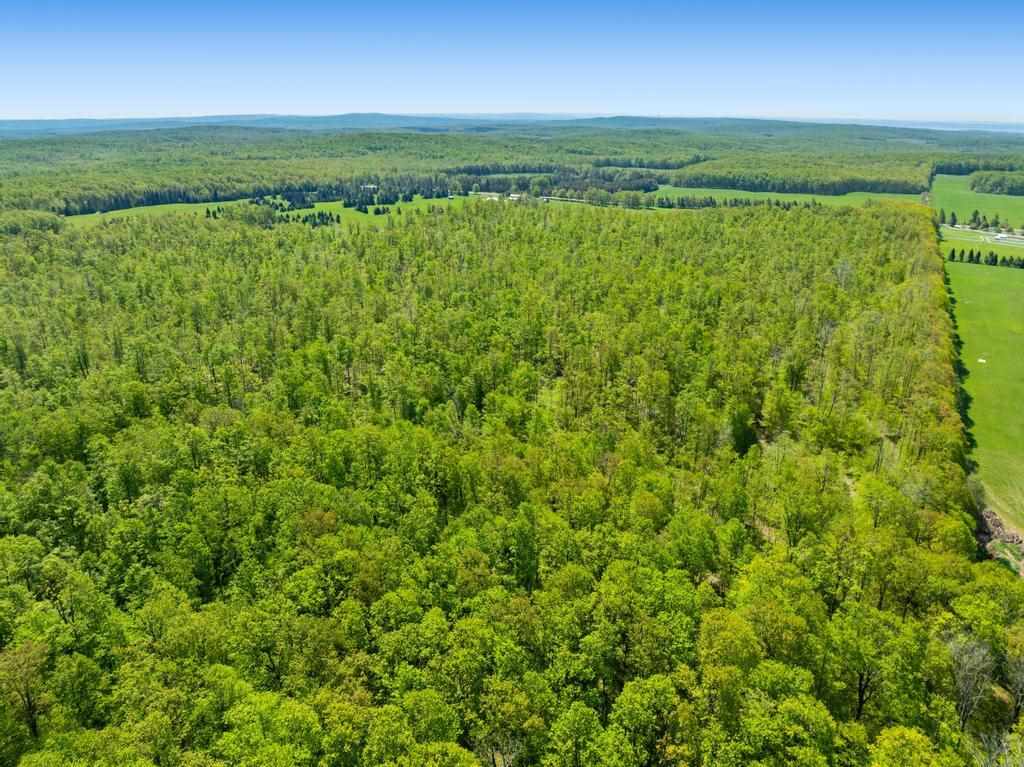 Tbd W Robinson Road Harbor Springs MI 49740