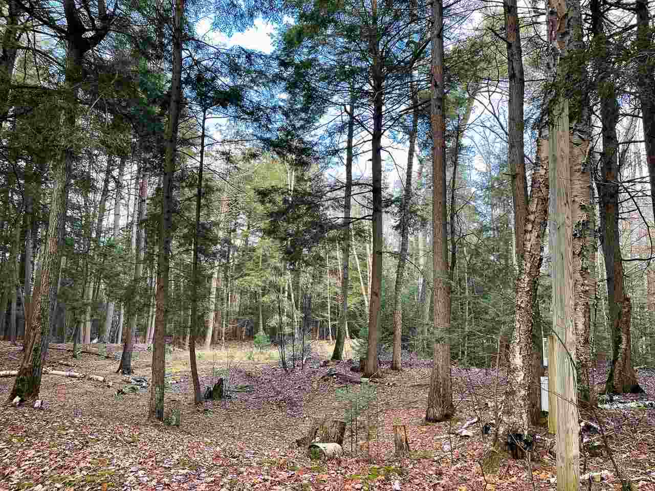 Tbd East Side Drive Beaver Island MI 49782
