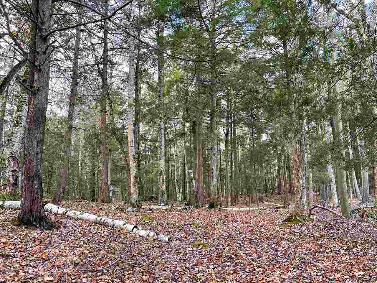 Tbd East Side Drive Beaver Island MI 49782