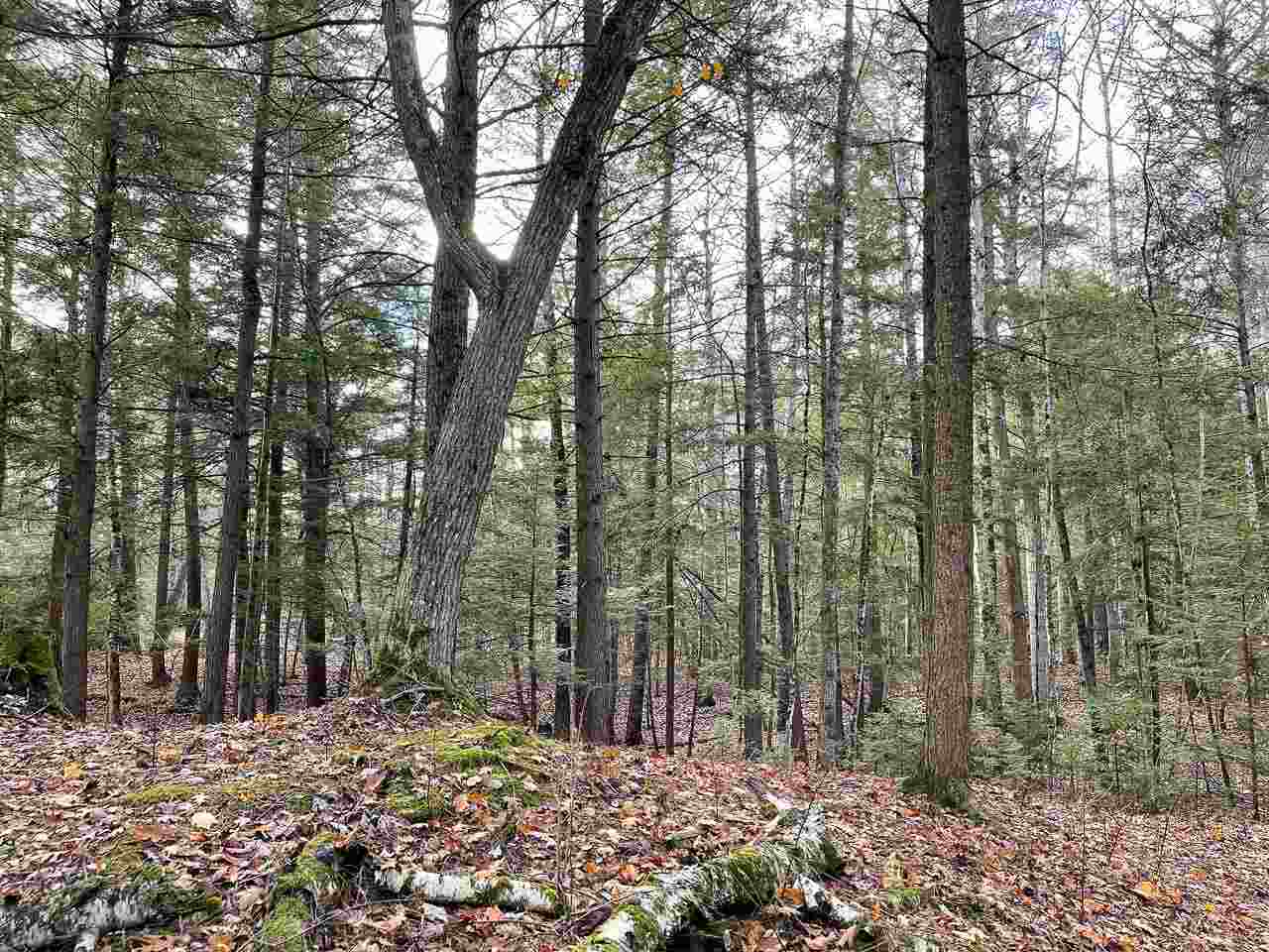 Tbd East Side Drive Beaver Island MI 49782