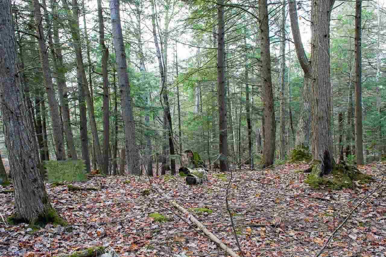 Tbd East Side Drive Beaver Island MI 49782