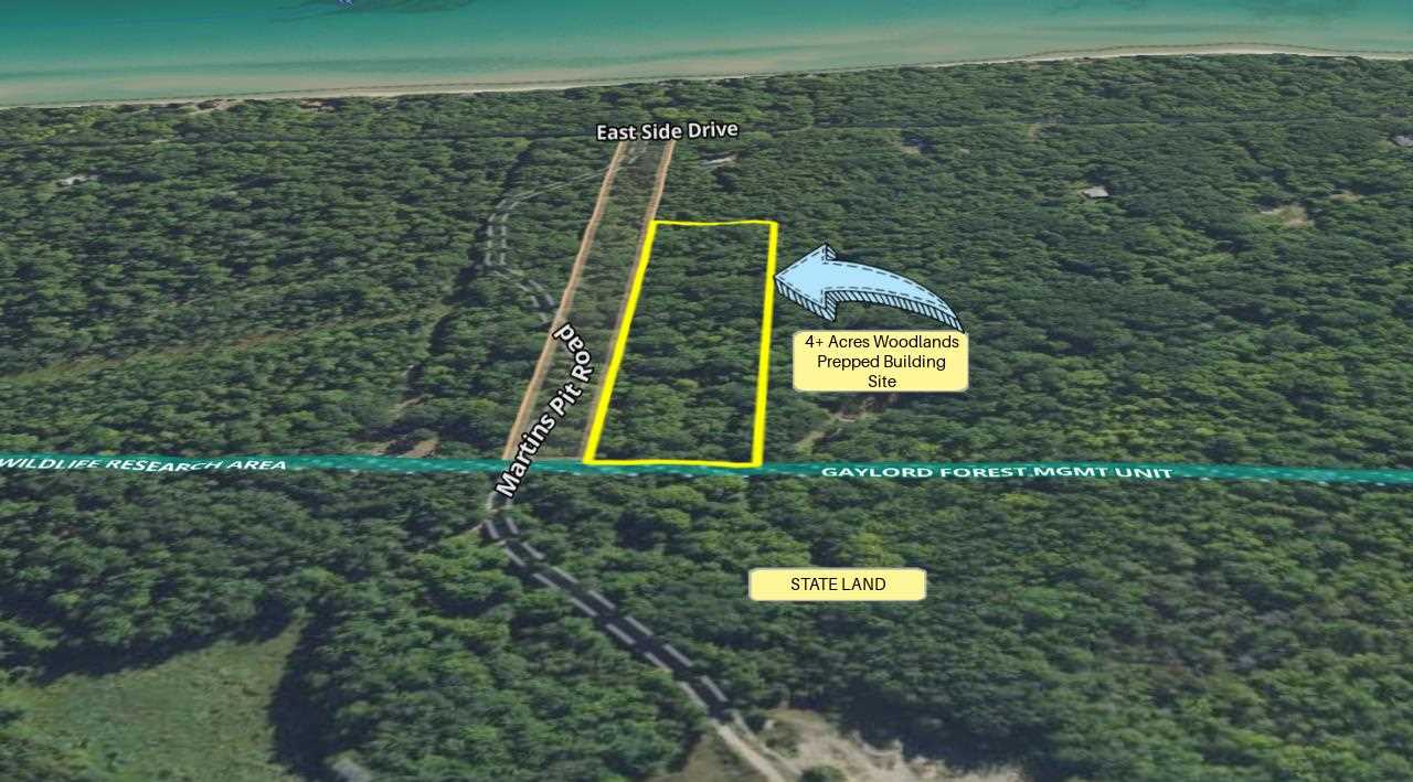 Tbd East Side Drive Beaver Island MI 49782