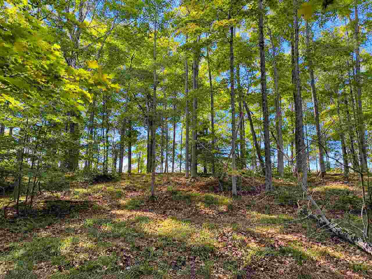 Tbd Fox Lake Road Beaver Island MI 49782