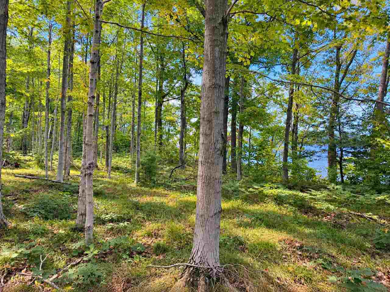 Tbd Fox Lake Road Beaver Island MI 49782