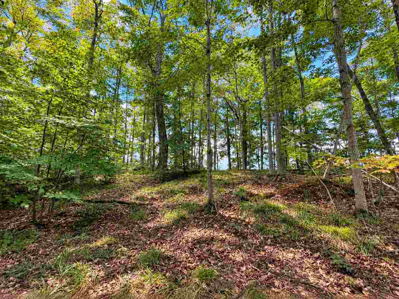 Tbd Fox Lake Road Beaver Island MI 49782
