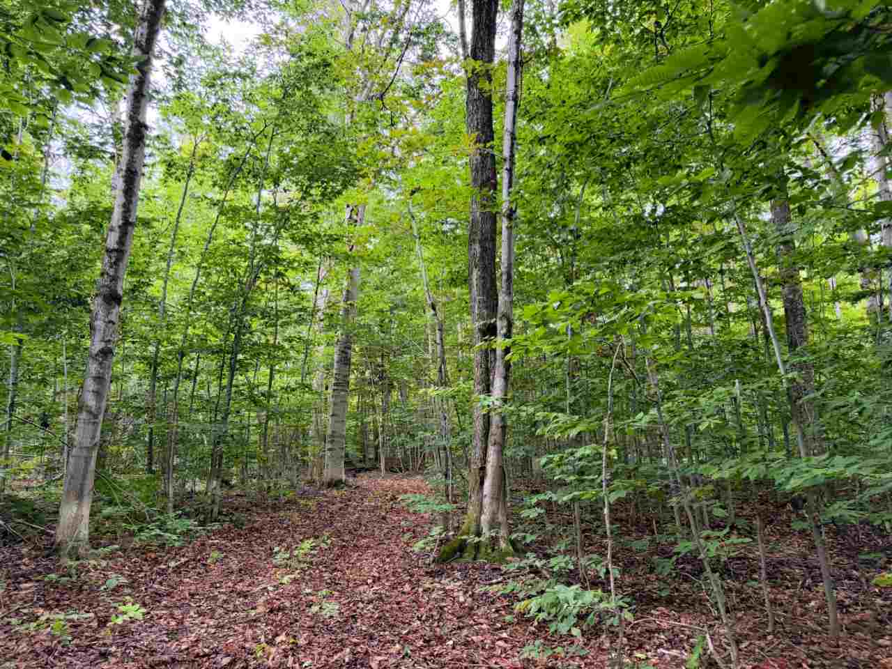 Tbd Fox Lake Road Beaver Island MI 49782