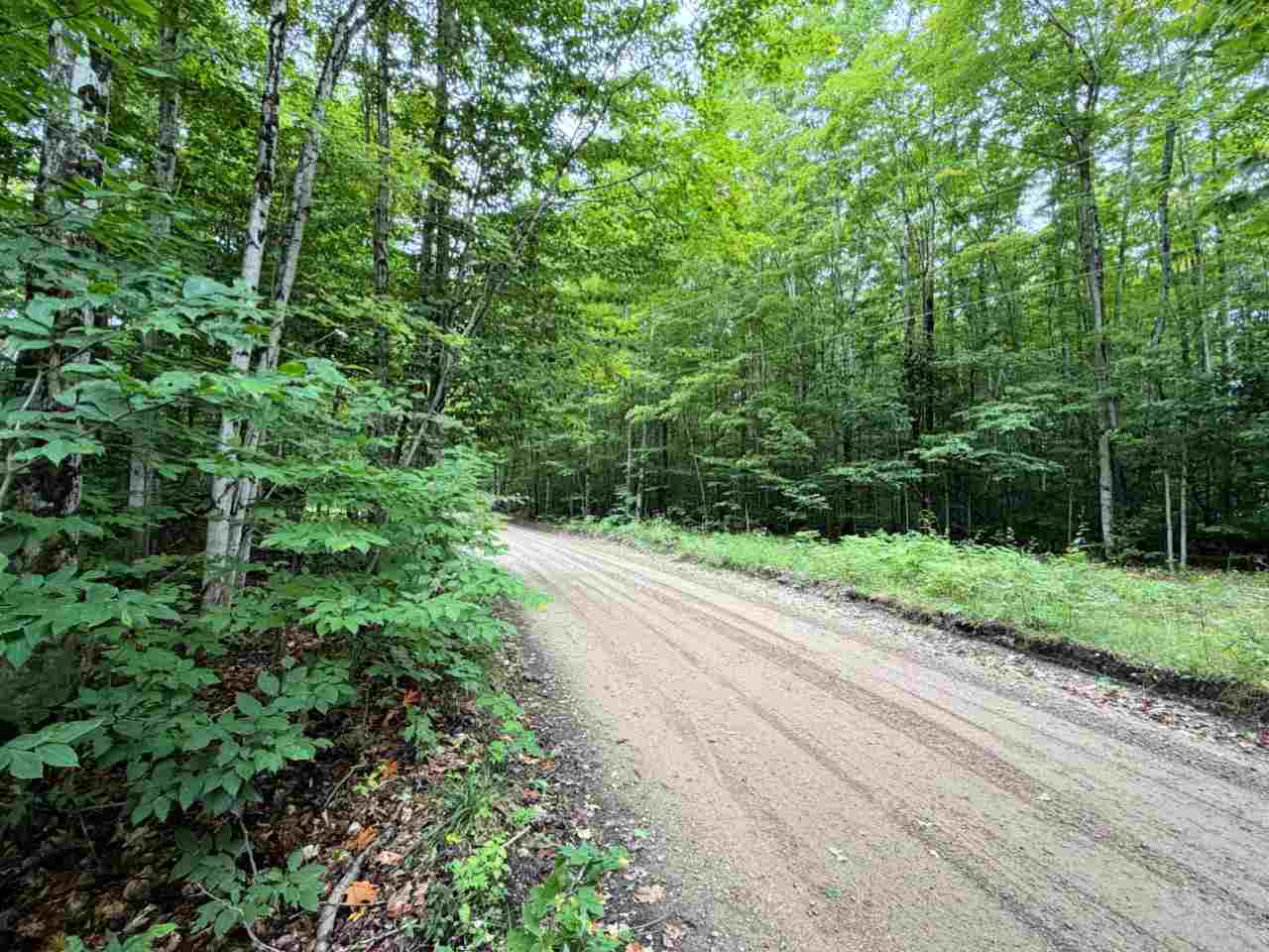 Tbd Fox Lake Road Beaver Island MI 49782