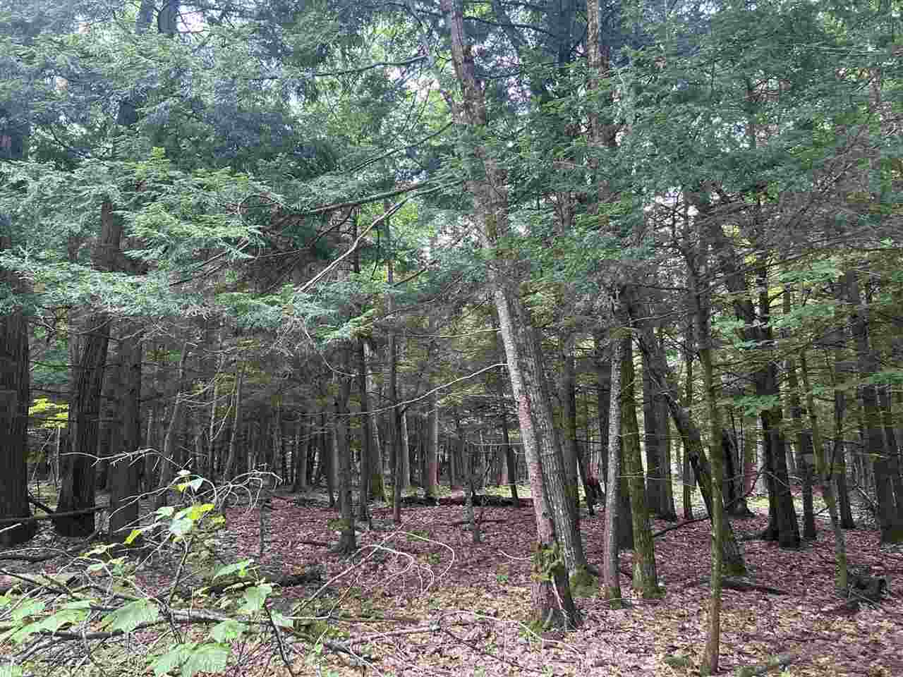 Tbd Arbutus Drive Cross Village MI 49723