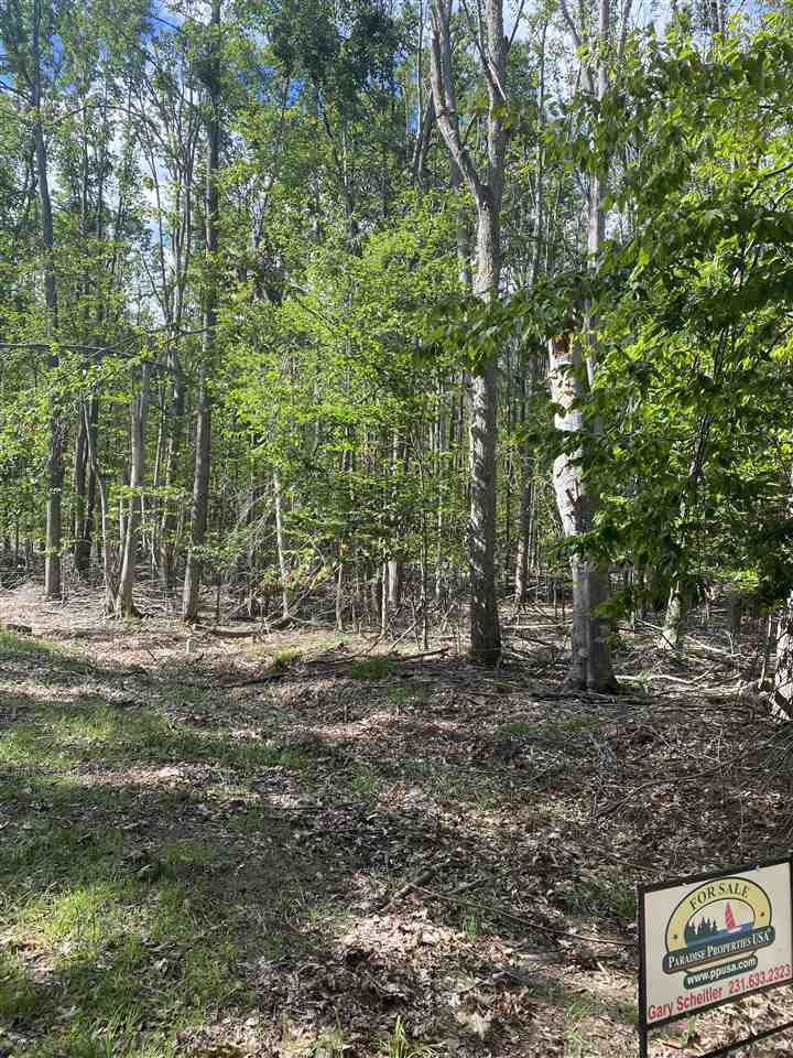 Lots 156 & 157 Hummingbird Court Gaylord MI 49735