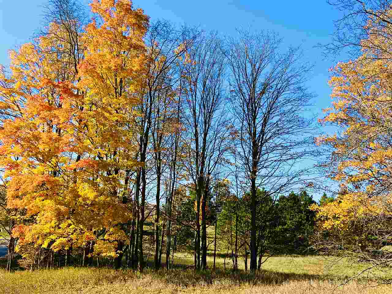 Lot 64 Turnberry Trail Boyne City MI 49712