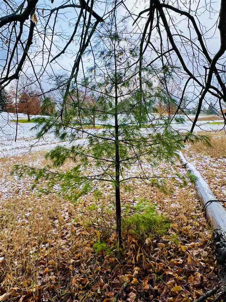Lot 64 Turnberry Trail Boyne City MI 49712
