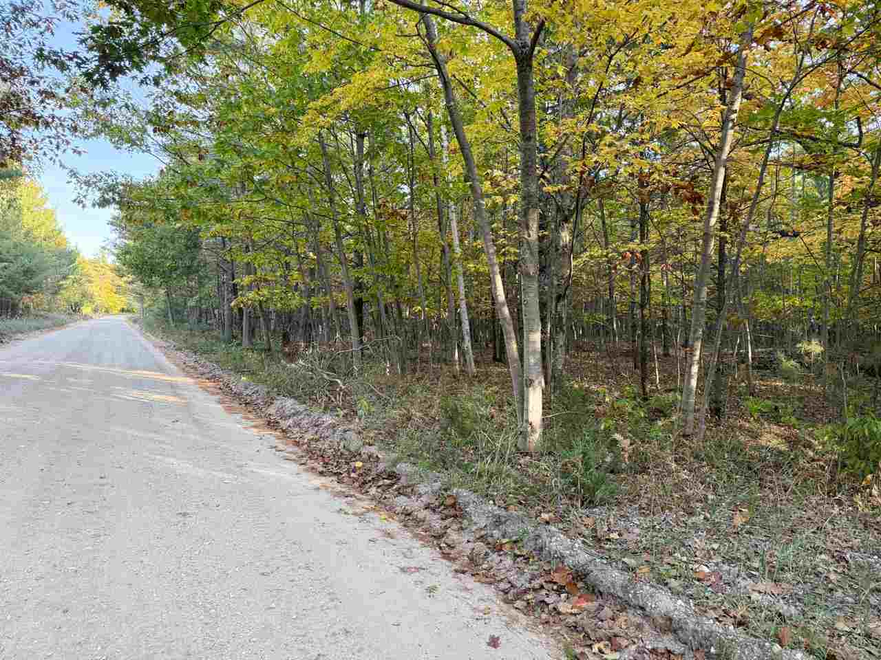 Tbd Mrs. Reddings Trail Beaver Island MI 49782