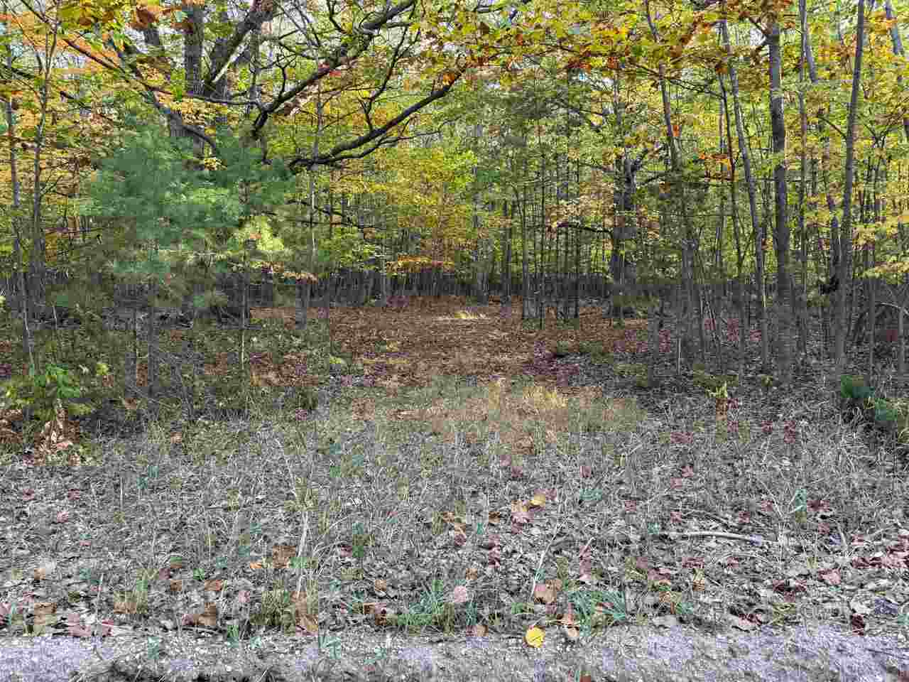 Tbd Mrs. Reddings Trail Beaver Island MI 49782