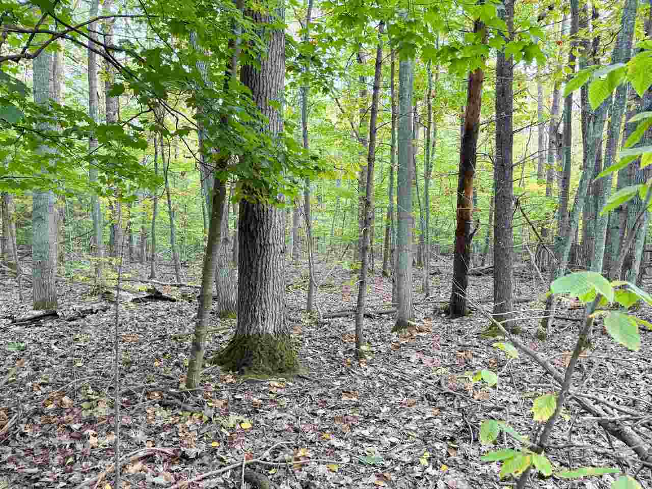 Tbd Mrs. Reddings Trail Beaver Island MI 49782