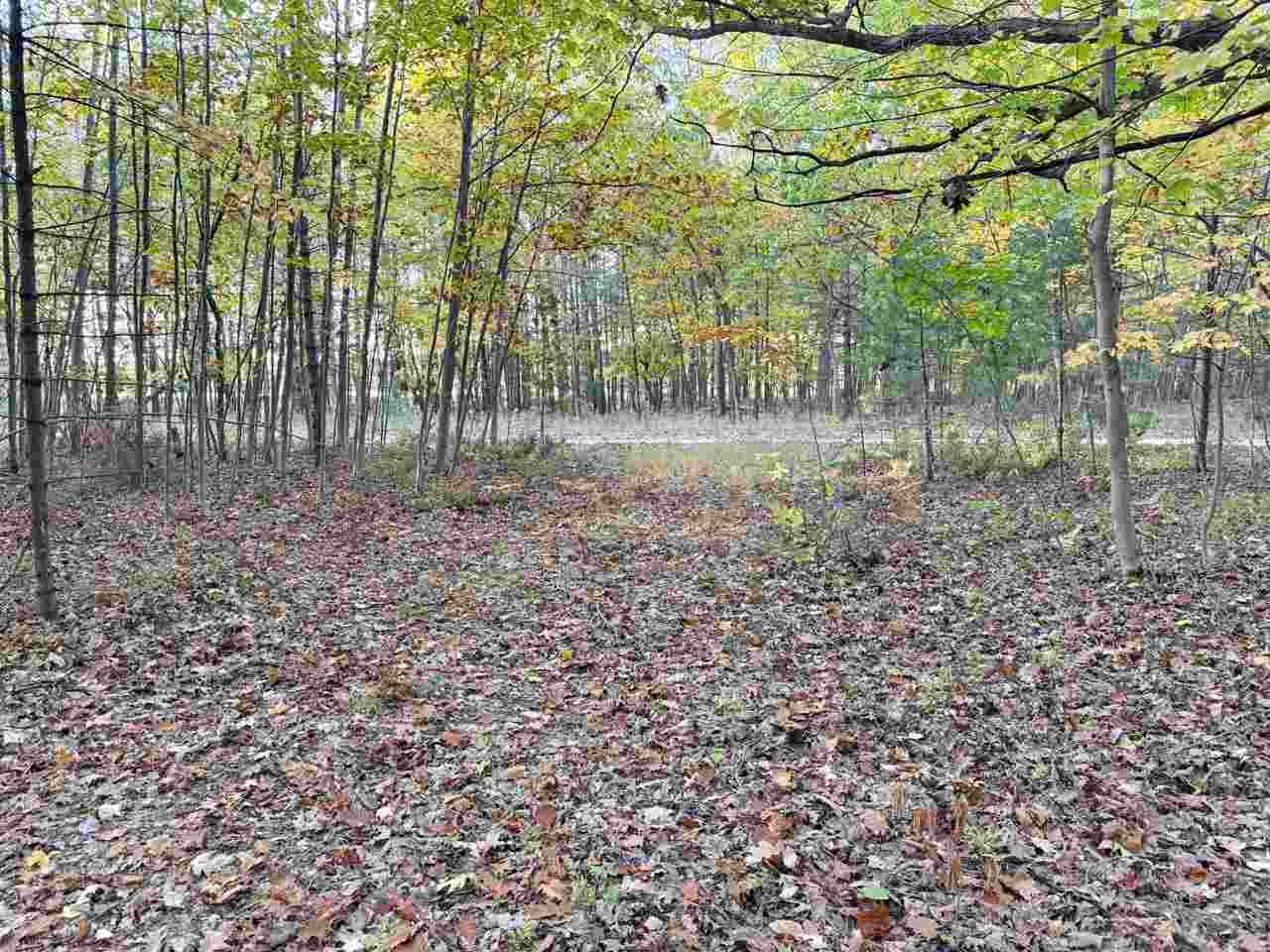 Tbd Mrs. Reddings Trail Beaver Island MI 49782