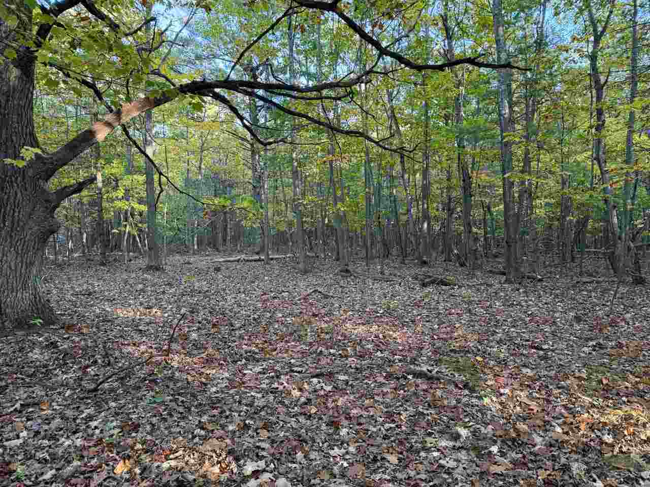 Tbd Mrs. Reddings Trail Beaver Island MI 49782