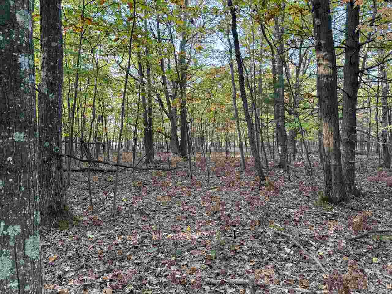 Tbd Mrs. Reddings Trail Beaver Island MI 49782