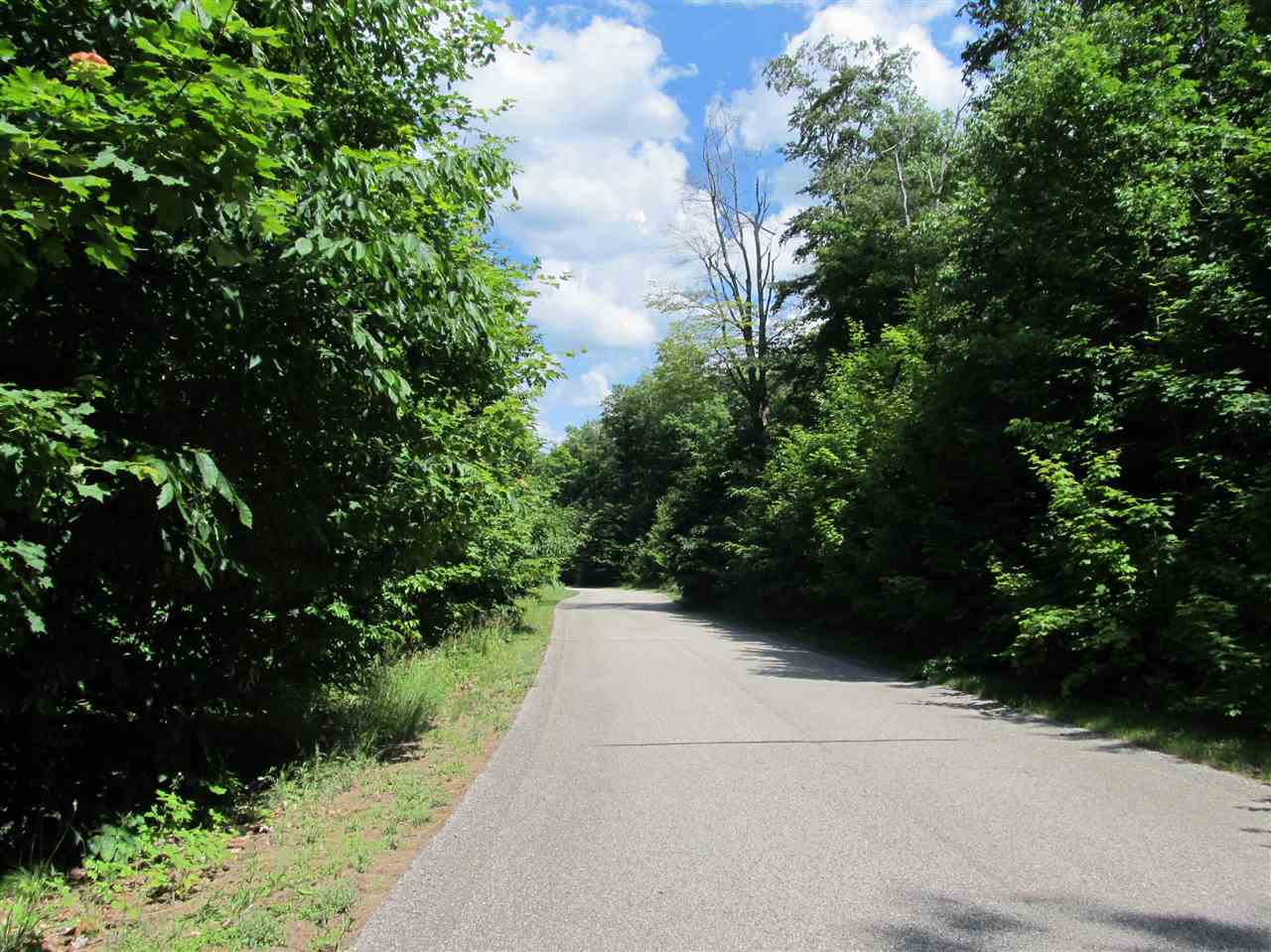 1253 Walkabout Lane Harbor Springs MI 49740