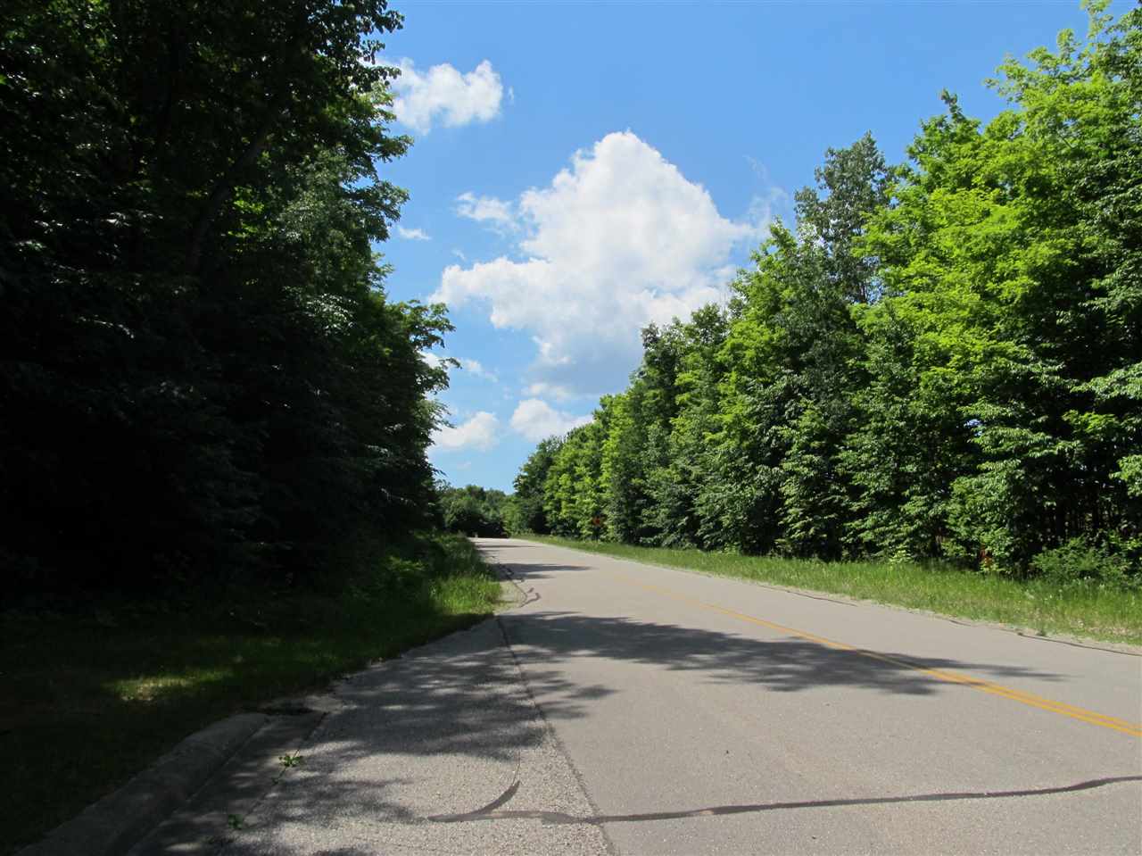 1253 Walkabout Lane Harbor Springs MI 49740