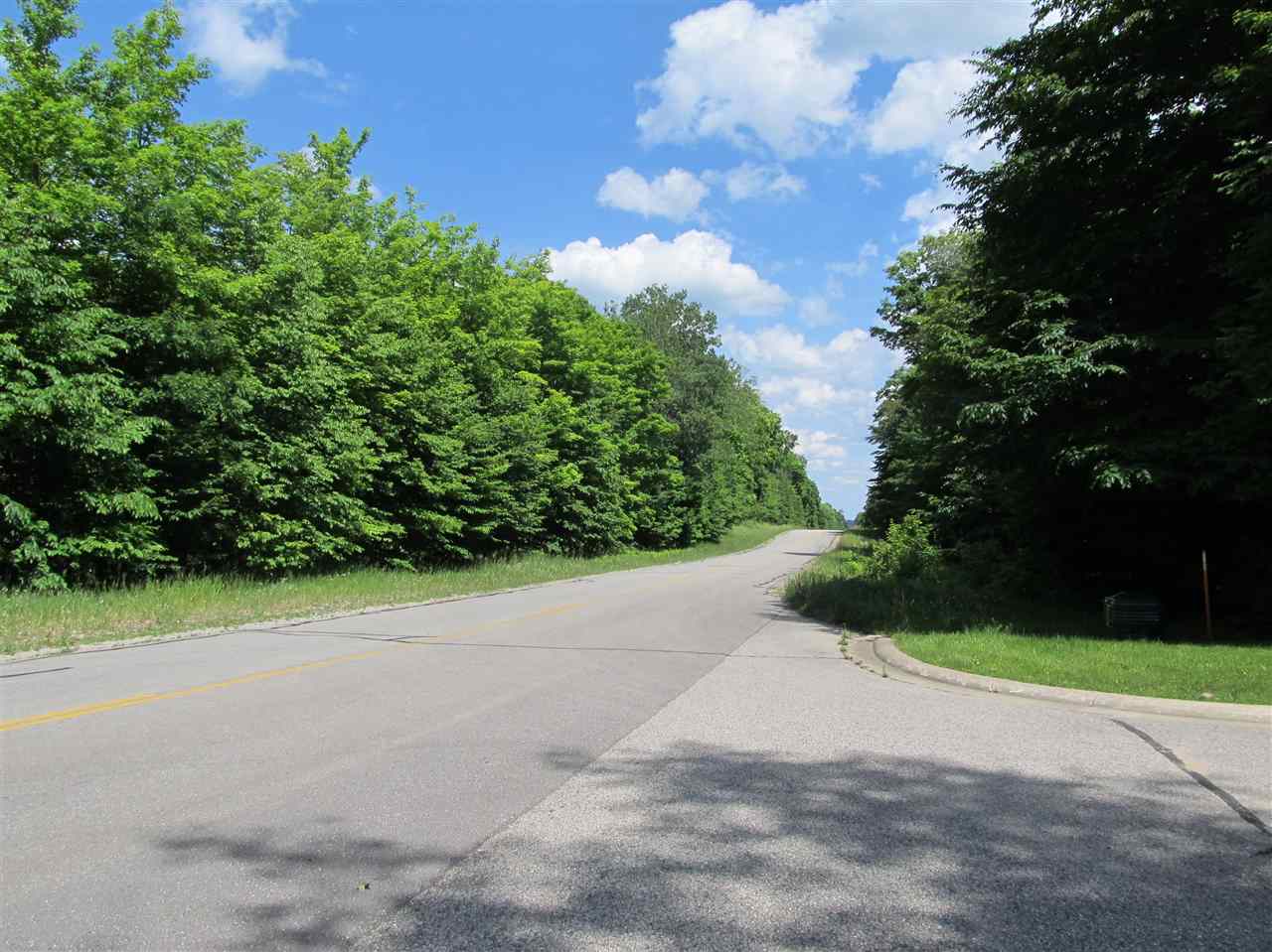 1253 Walkabout Lane Harbor Springs MI 49740