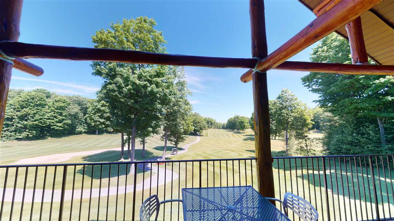 1253 Walkabout Lane Harbor Springs MI 49740