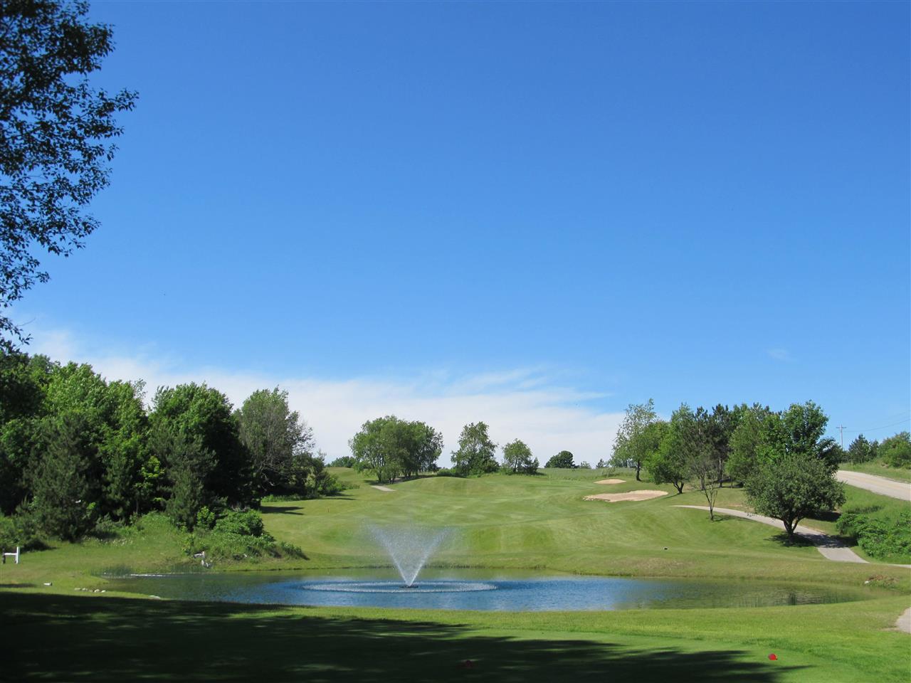 1253 Walkabout Lane Harbor Springs MI 49740