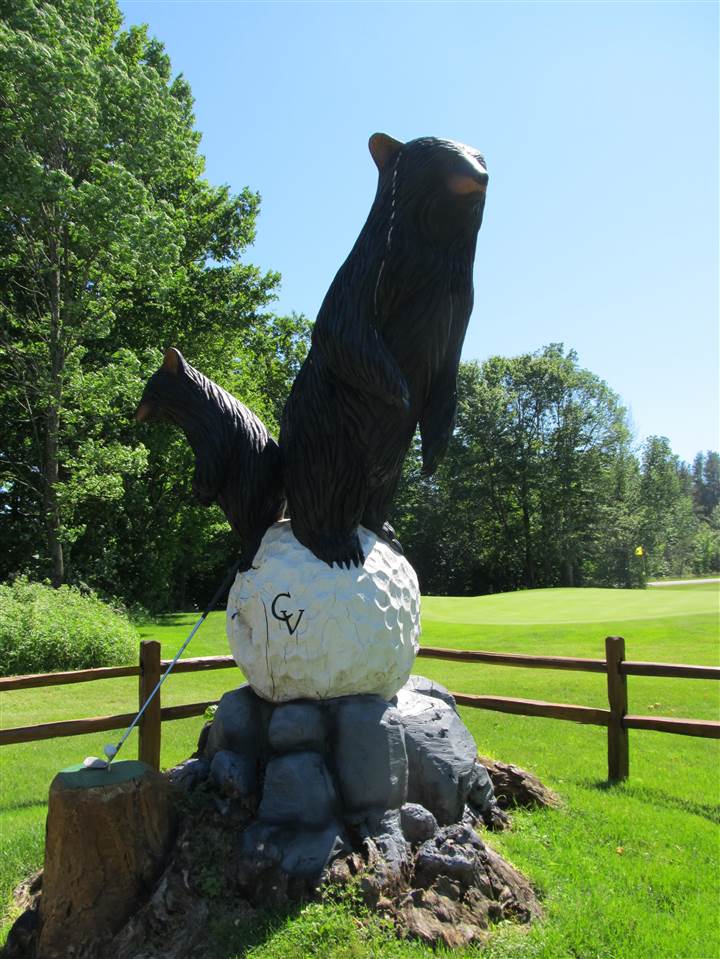 1253 Walkabout Lane Harbor Springs MI 49740