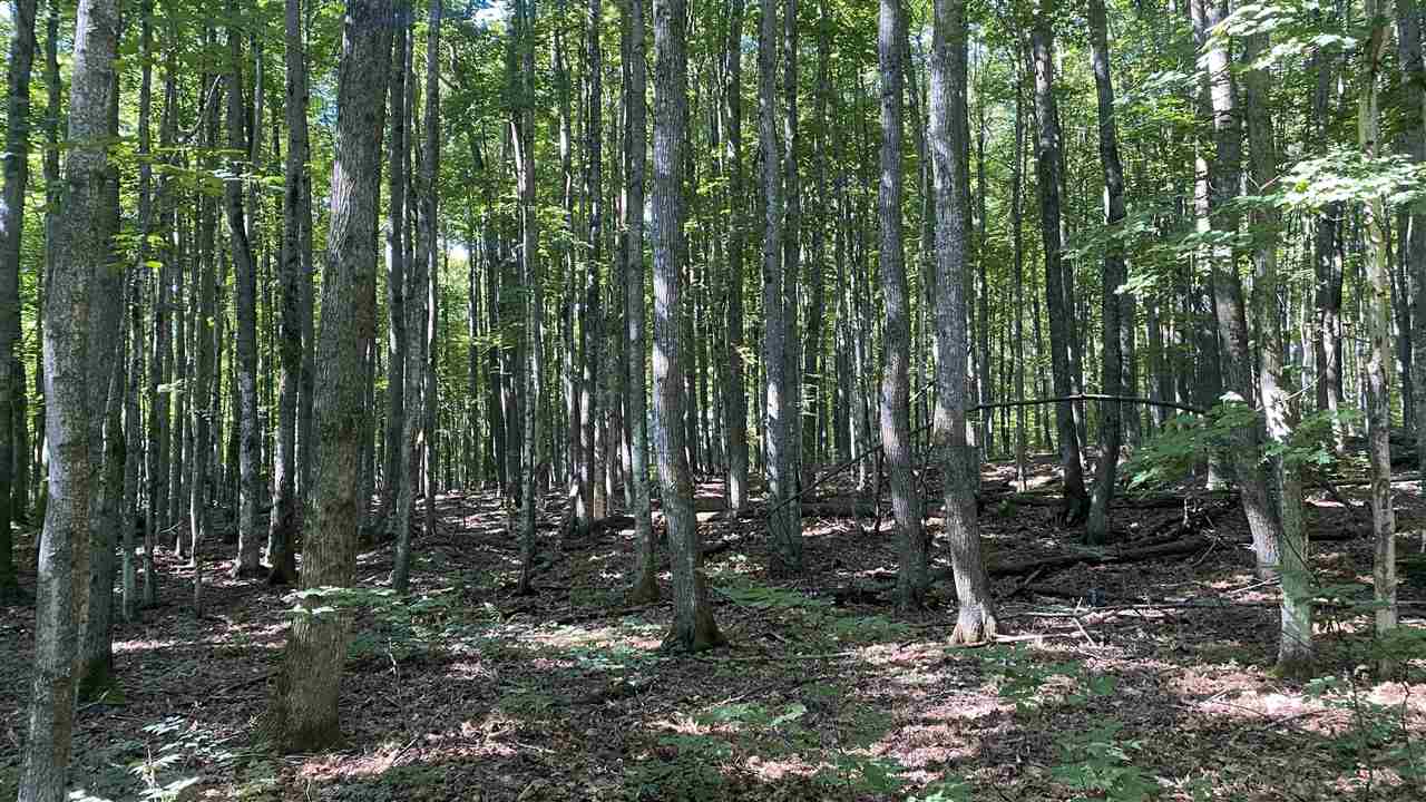 Lot 113 Forestgrove Court Elmira MI 49730