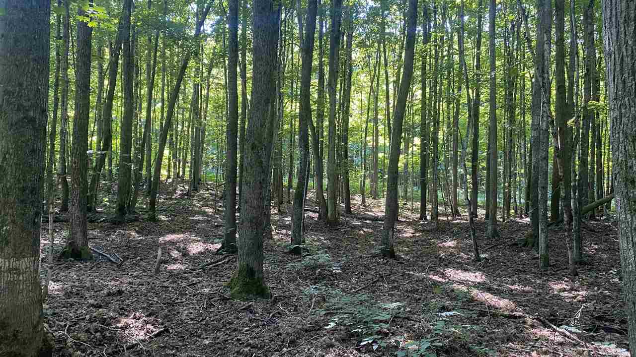 Lot 113 Forestgrove Court Elmira MI 49730