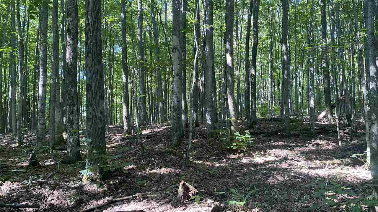 Lot 113 Forestgrove Court Elmira MI 49730