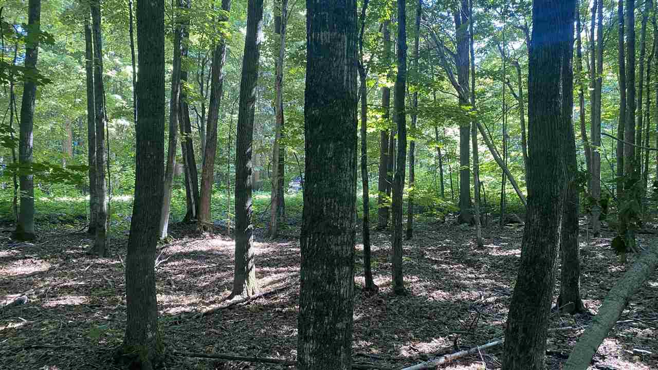 Lot 113 Forestgrove Court Elmira MI 49730