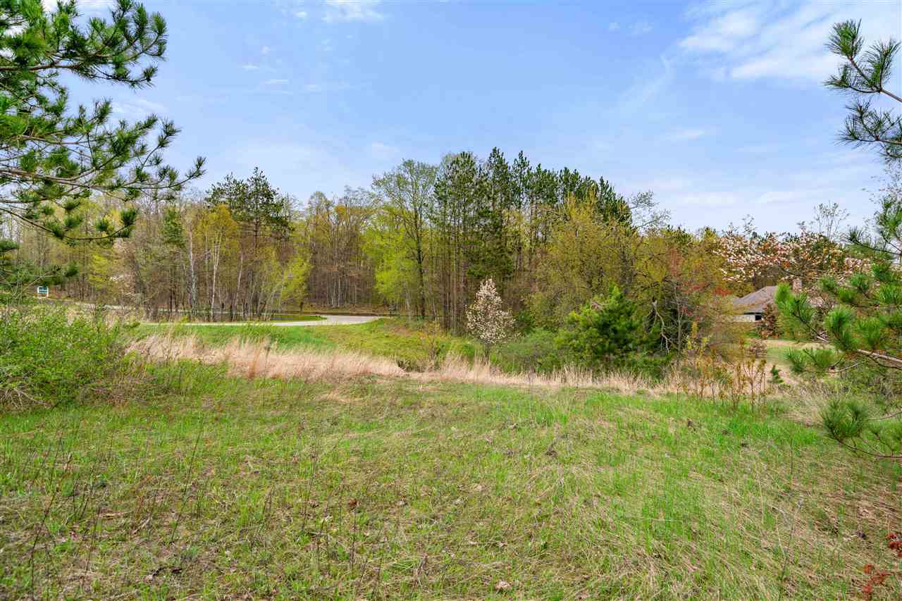 2578 Sanctuary Drive Harbor Springs MI 49740