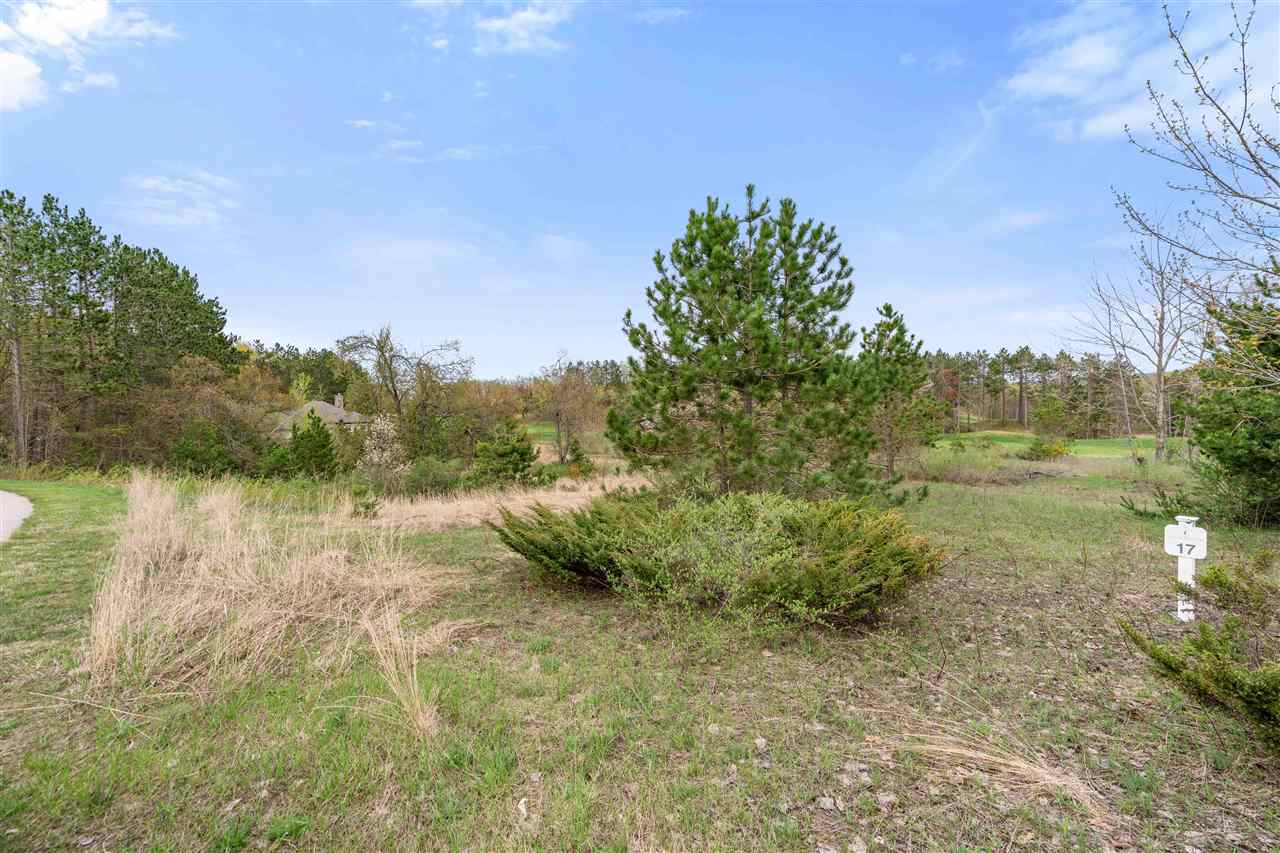 2578 Sanctuary Drive Harbor Springs MI 49740