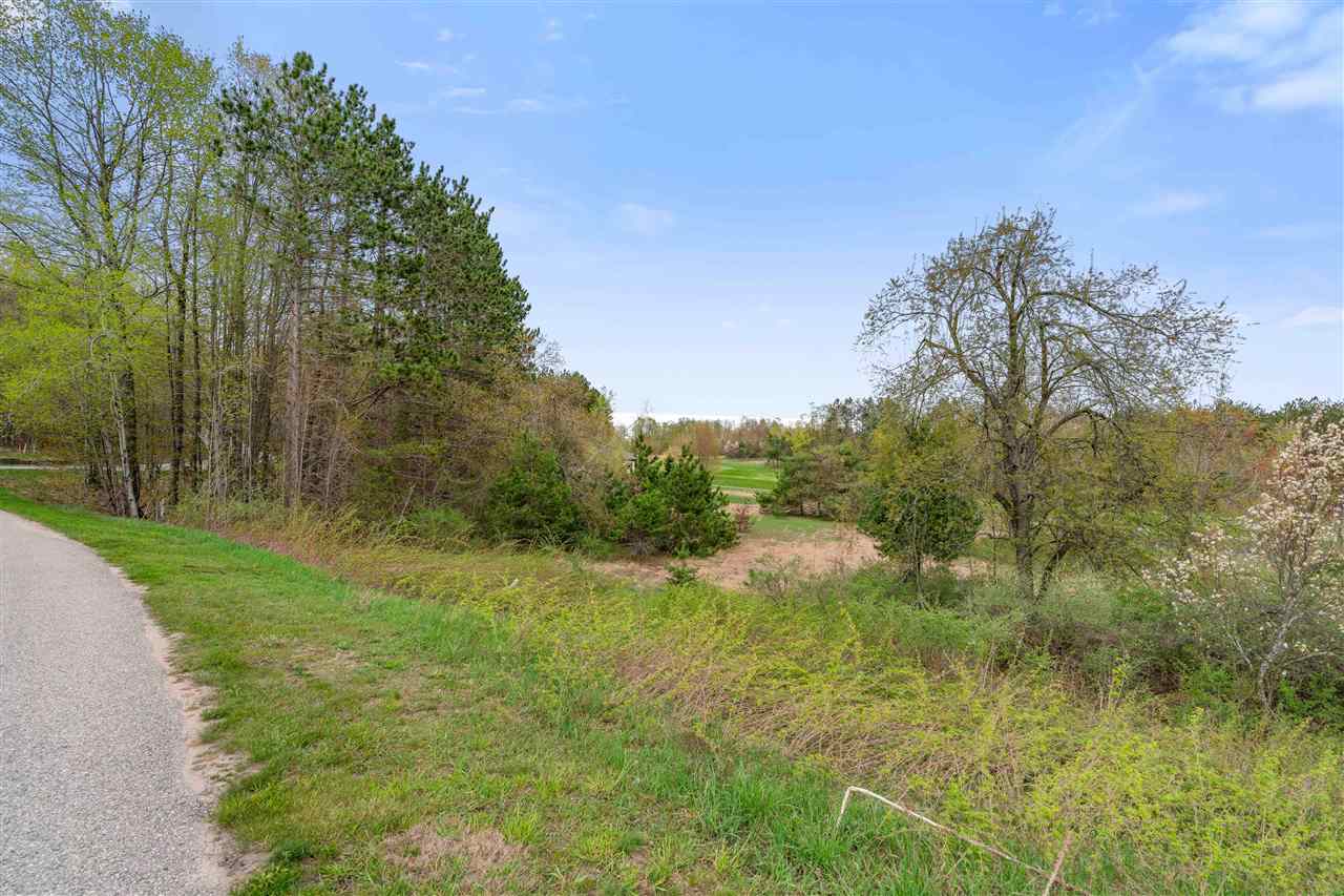 2578 Sanctuary Drive Harbor Springs MI 49740