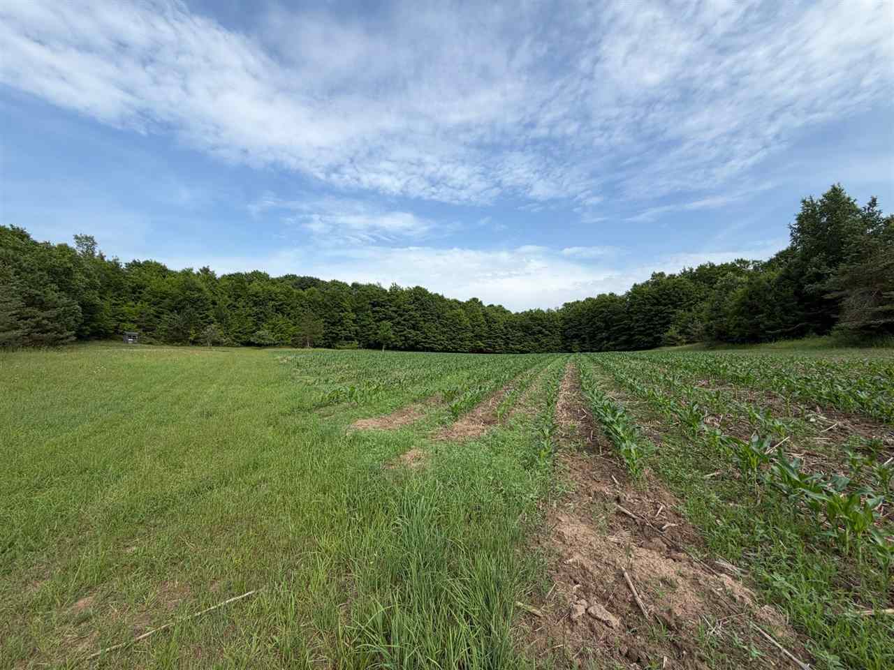 1100 Wangeman Road East Jordan MI 49727