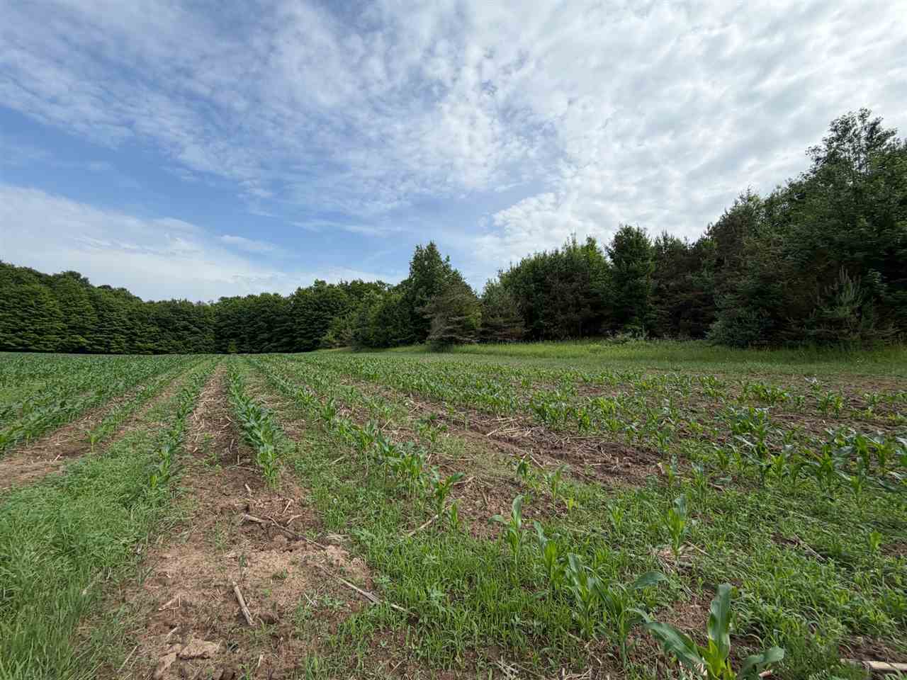 1100 Wangeman Road East Jordan MI 49727