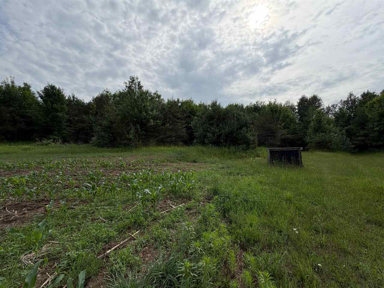 1100 Wangeman Road East Jordan MI 49727