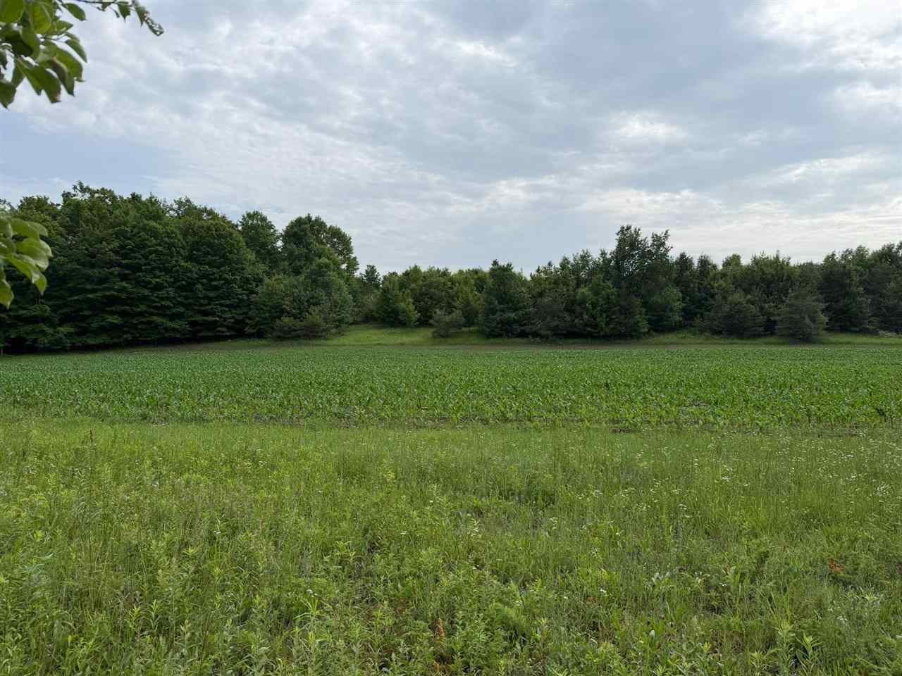 1100 Wangeman Road East Jordan MI 49727