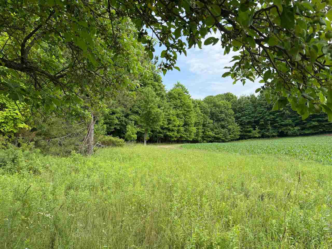 1100 Wangeman Road East Jordan MI 49727