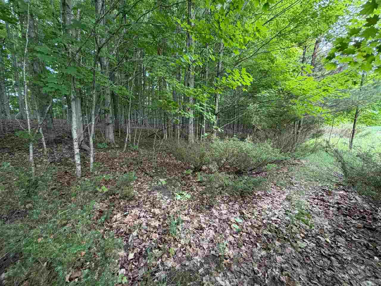 1100 Wangeman Road East Jordan MI 49727
