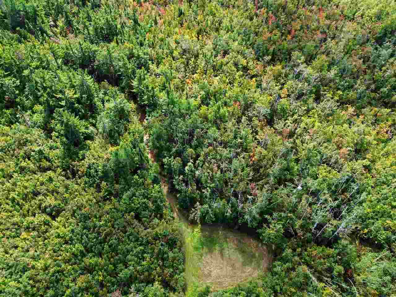 10363 Rail Road Grade Road Cheboygan MI 49721