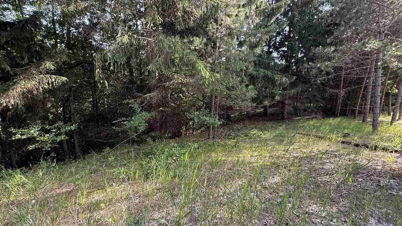Tbd Farrell Road Central Lake MI 49622